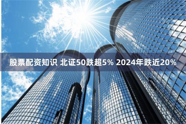股票配资知识 北证50跌超5% 2024年跌近20%