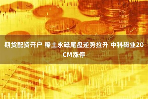 期货配资开户 稀土永磁尾盘逆势拉升 中科磁业20CM涨停