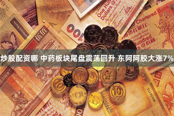 炒股配资哪 中药板块尾盘震荡回升 东阿阿胶大涨7%