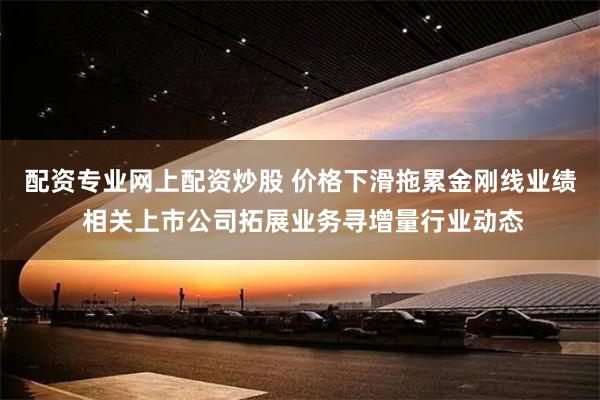 配资专业网上配资炒股 价格下滑拖累金刚线业绩 相关上市公司拓展业务寻增量行业动态